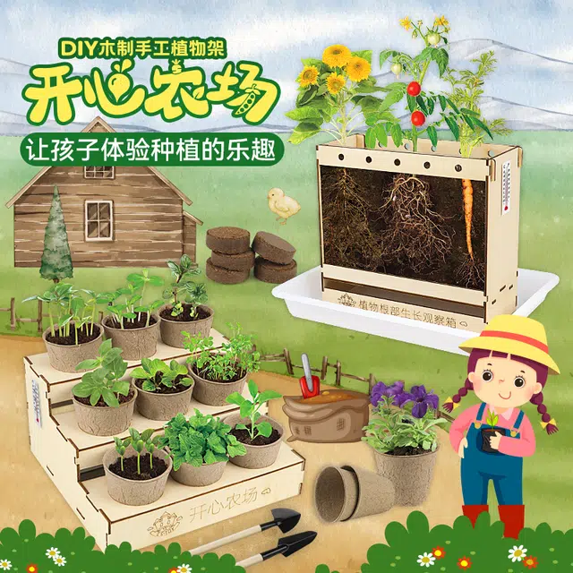 小牧马 阳光房种植 儿童科学实验套装 植物生长观察 玩具