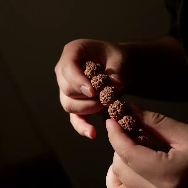 潘家园 大尺寸尼泊尔姜黄皮 爆肉蜂窝 双龙纹 金刚菩提 菩提类手串 男款