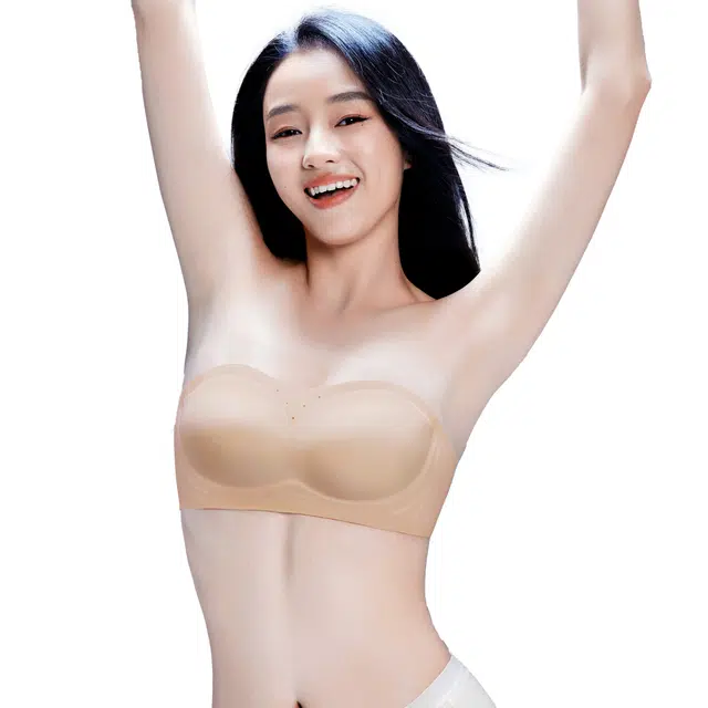 SINSIN Bra-in 2.07A