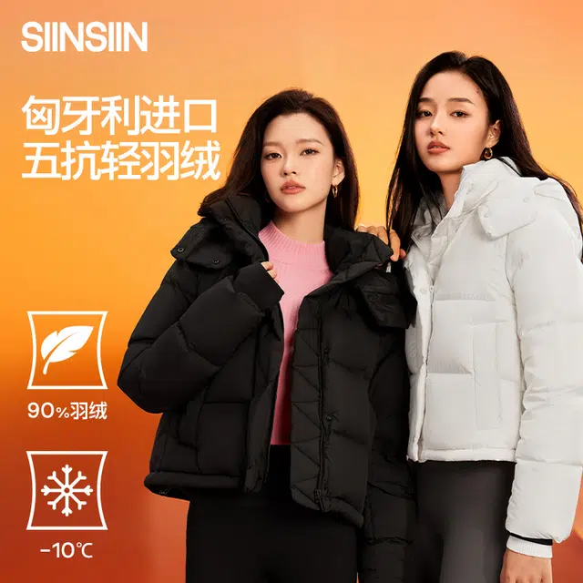 SINSIN