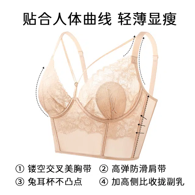 润微 红酒杯系列 蕾丝美背简约性感商务通勤休闲文胸 女款
