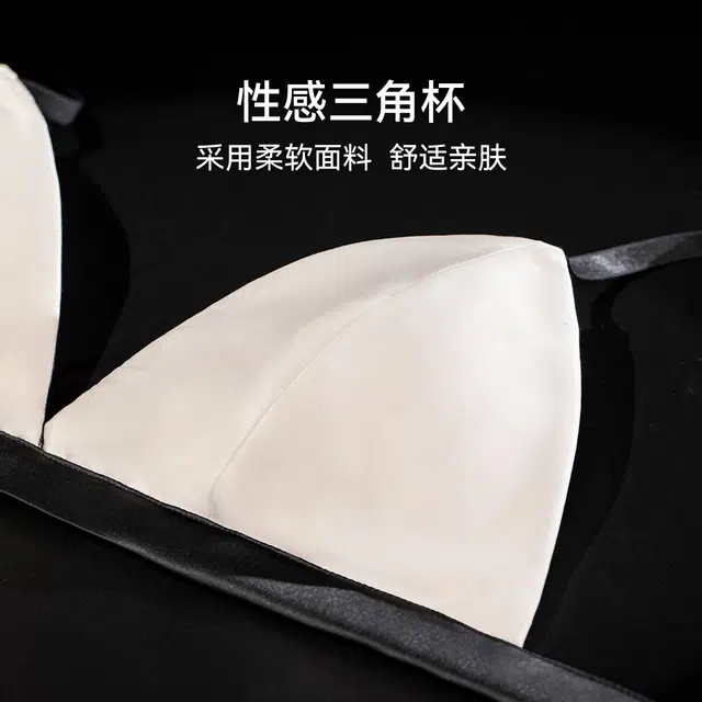 芬斯狄娜 法式三角杯内衣女超薄款小胸大胸显小性感无钢圈文胸 女款