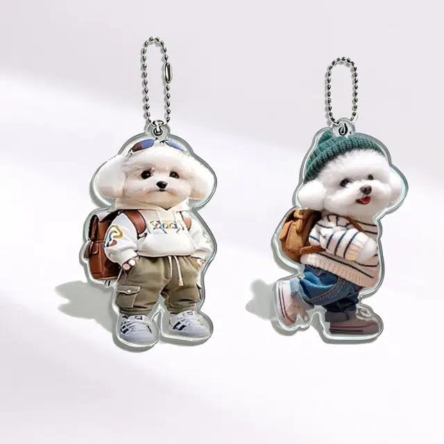 【潮流小狗2件】 卡莱茵 创意小泰迪狗 小书包  萌趣可爱卡通精致洋气高级感小众设计毛衣 亚克力 挂件 男女同款情侣款