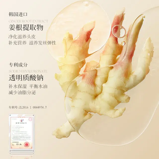 致朵 生姜柔润平衡洗发露 家用保湿滋润顺滑 男女通用 舒爽不干涩 飘逸 控油蓬松洗发水 滋养