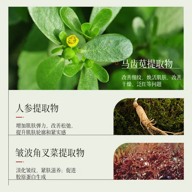致朵 植萃析颜嫩肤双抗六件套 滋润紧致 面部护理 爽肤水乳液 面霜精华液 抗初老护肤套装 保湿