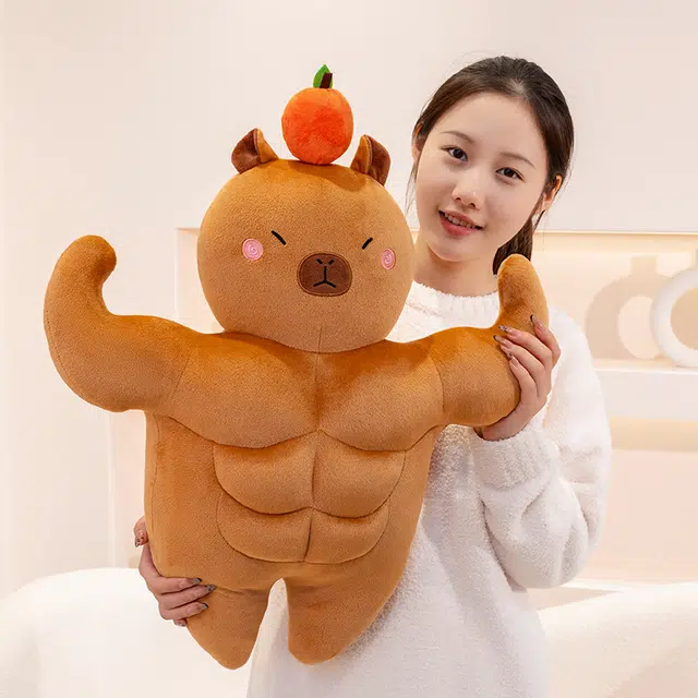 36cm58cm