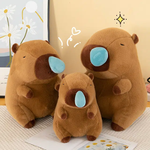 25cm30cm40cm