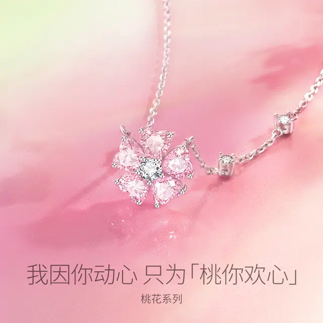 FANCI S925
