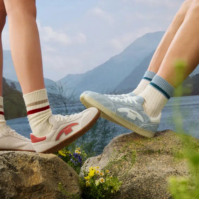Champion Champ T-trainer V2