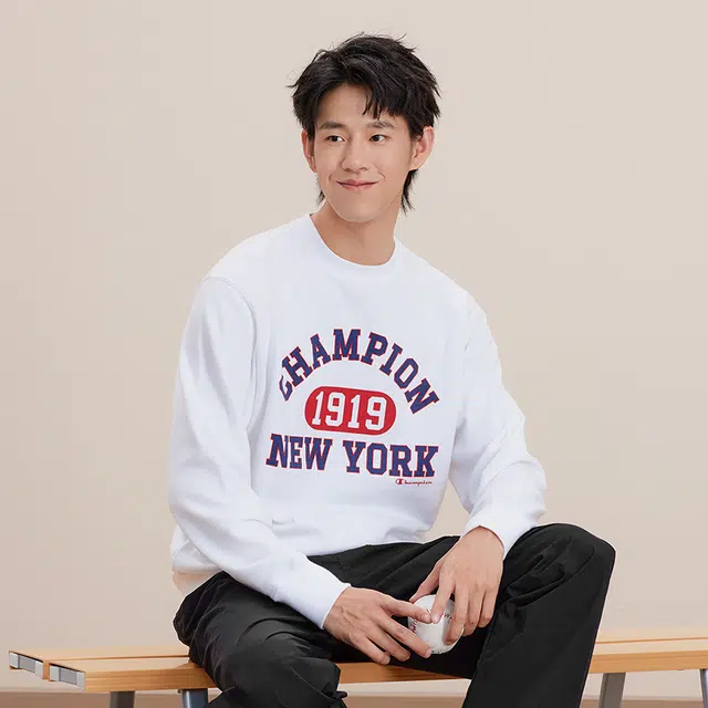Champion FW24 BASIC