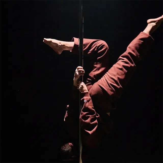 Champion x N.Hoolywood FW24 C-Logo