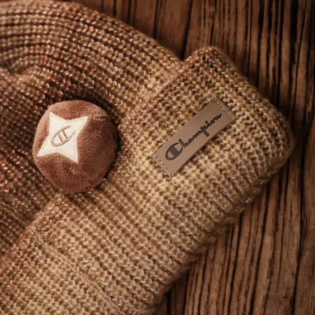 Champion FW25 C-Logo