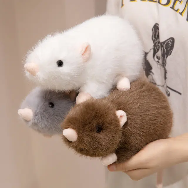 30cm50cm70cm