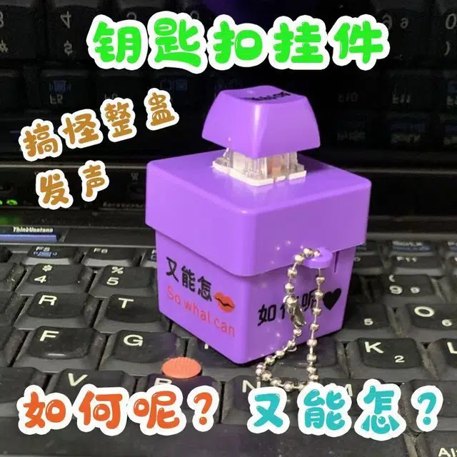 娇宠日记 如何呢又能怎按键钥匙扣 创意/整蛊玩具