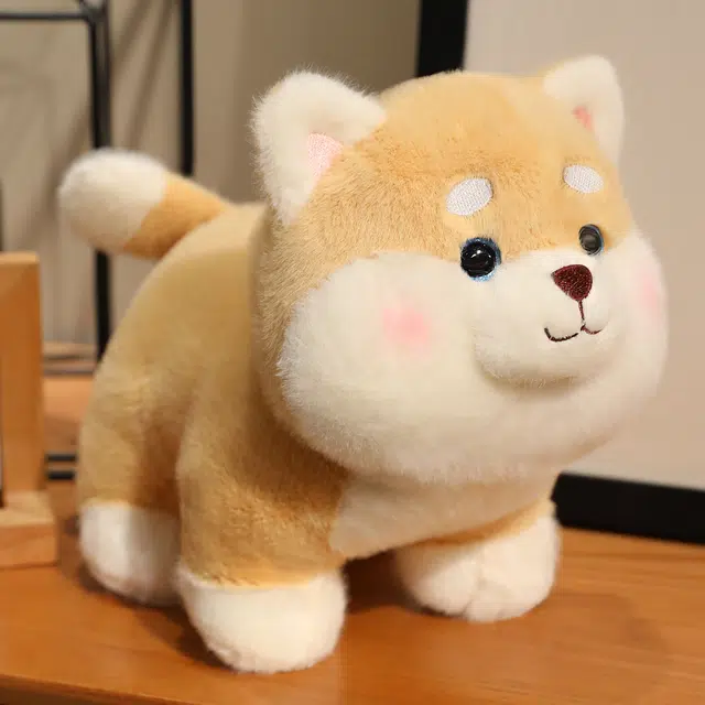 22cm