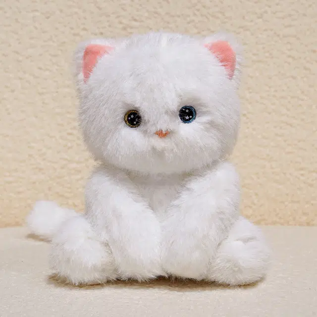 24cm