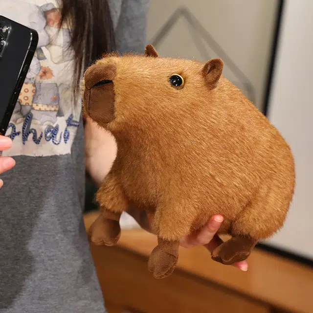 22cm