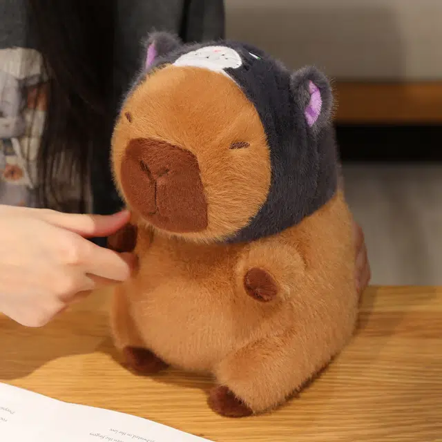 22cm32cm