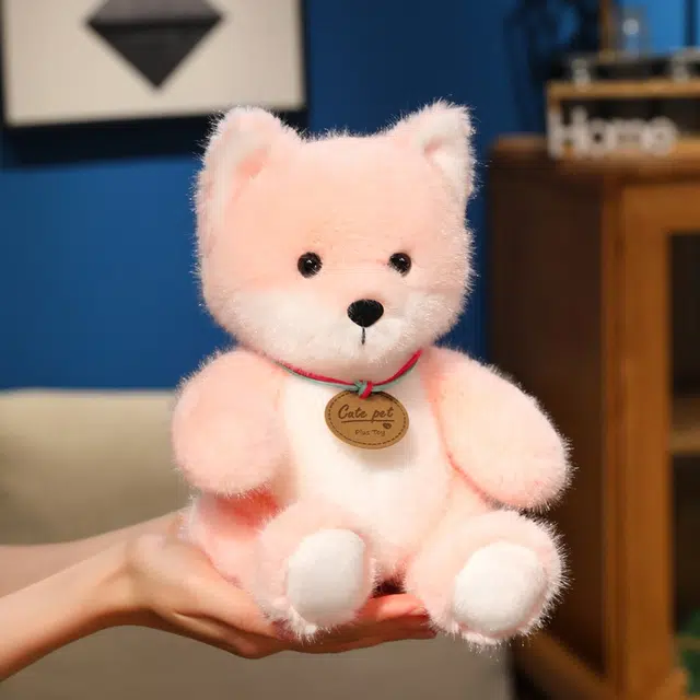 25cm