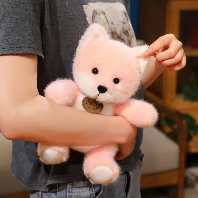 25cm