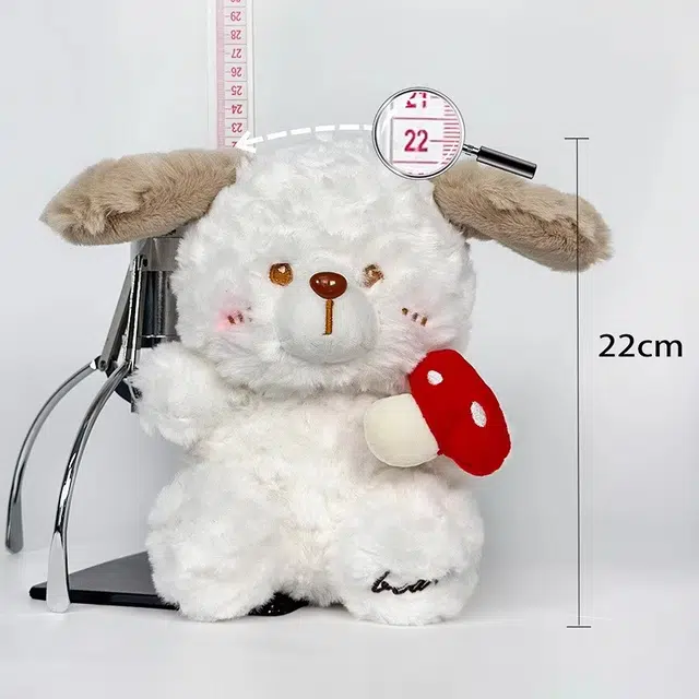 22cm