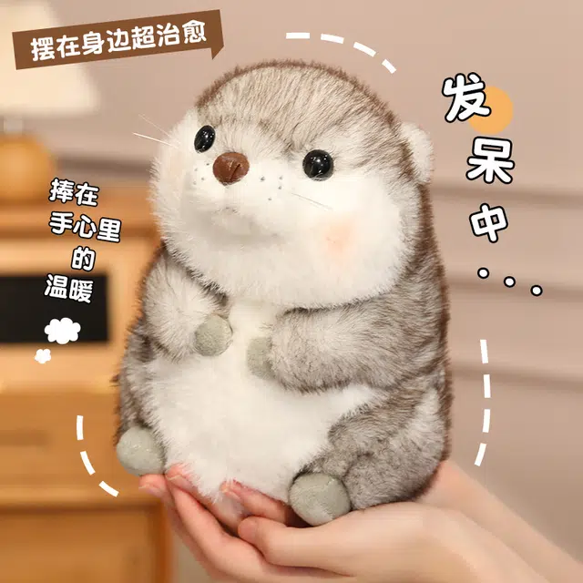 20cm25cm35cm