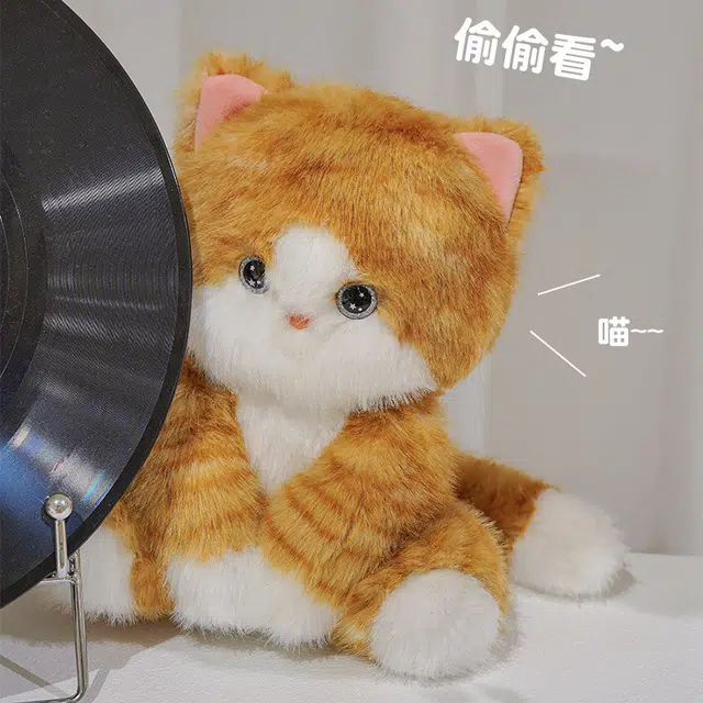 24cm
