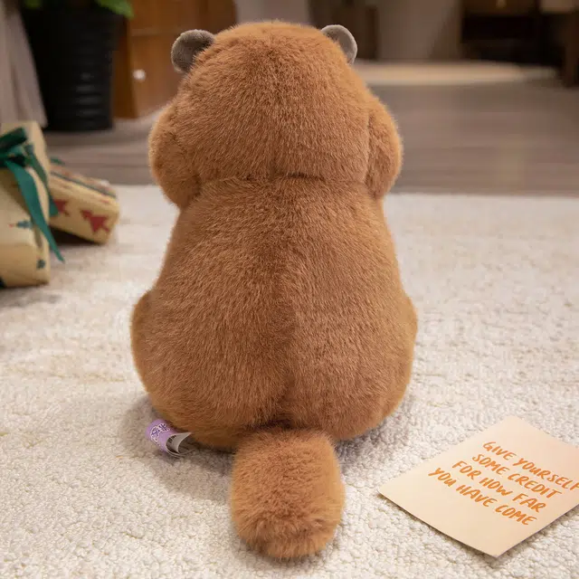 20cm30cm40cm