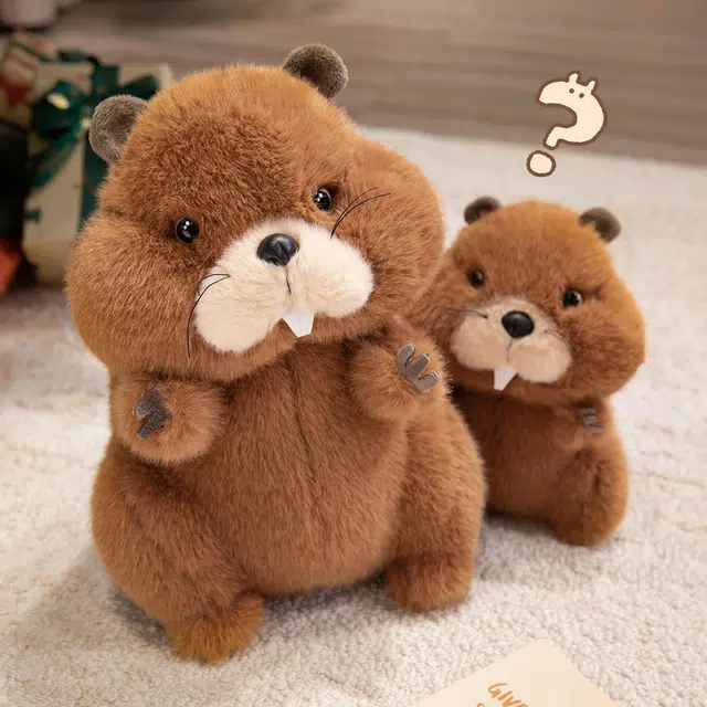 20cm30cm40cm