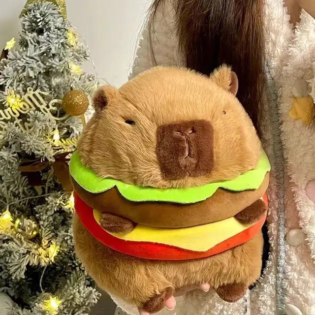 20cm30cm