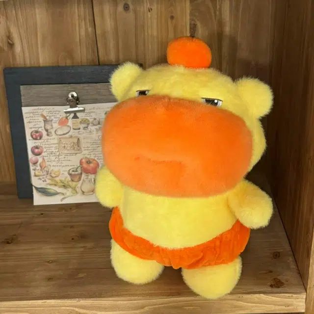 FGHGF 30cm40cm