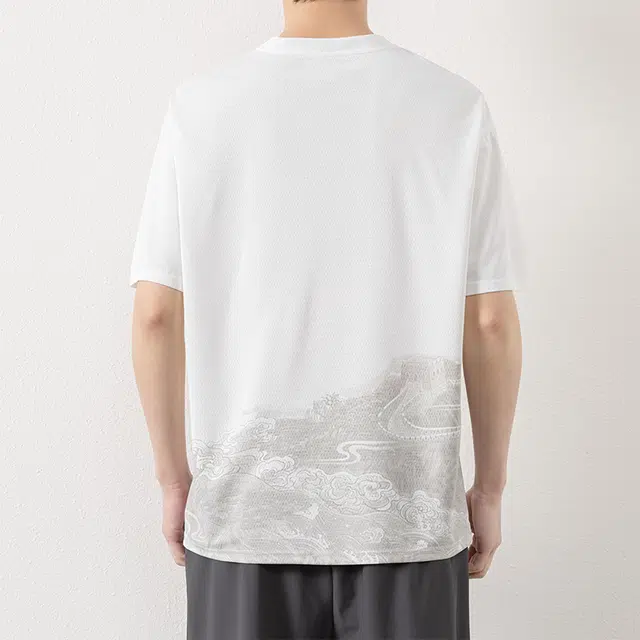 LISENPOK T