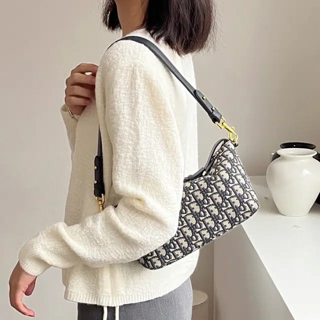 DIOR oblique