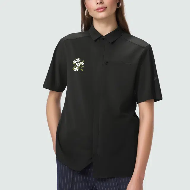 Arcteryx SKYLINE logo