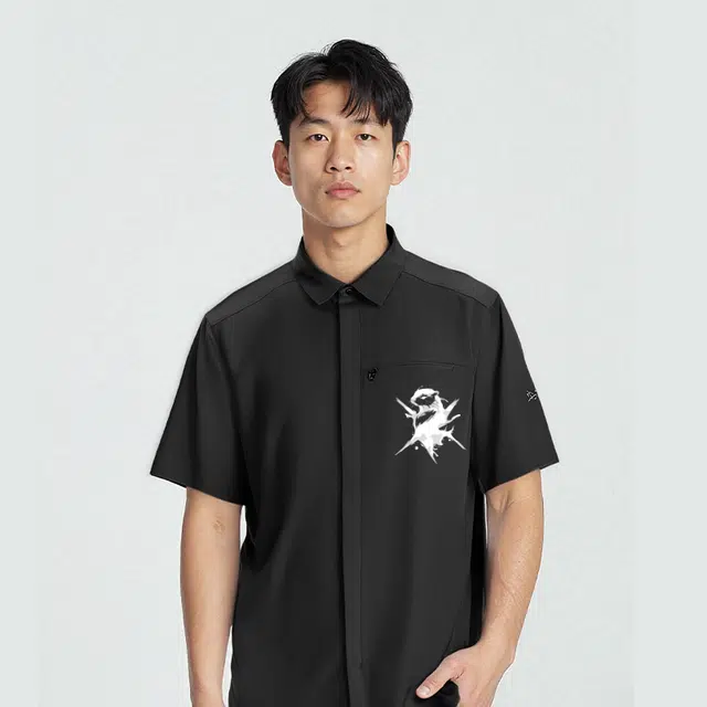 Arcteryx SKYLINE logo