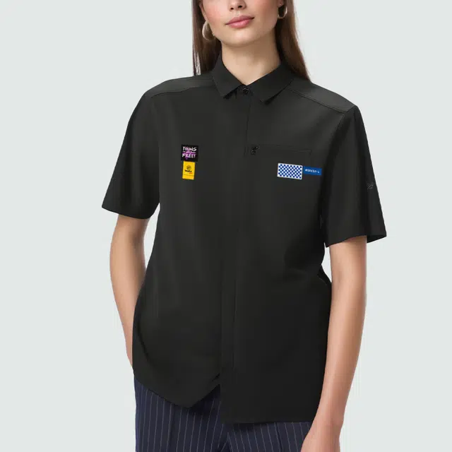 Arcteryx SKYLINE logo