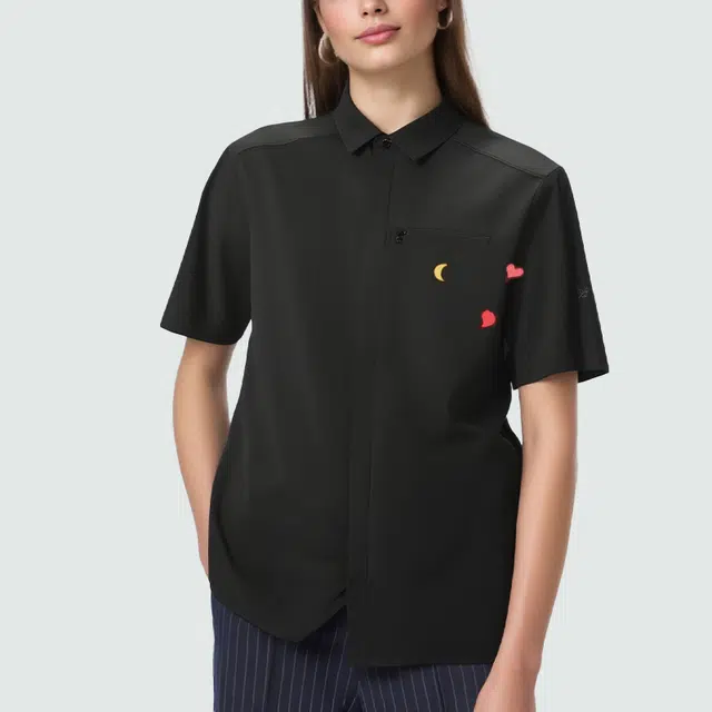 Arcteryx SKYLINE logo