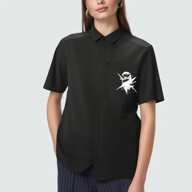 Arcteryx SKYLINE logo