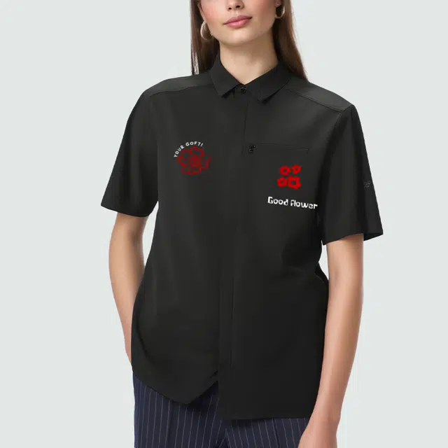 Arcteryx SKYLINE logo