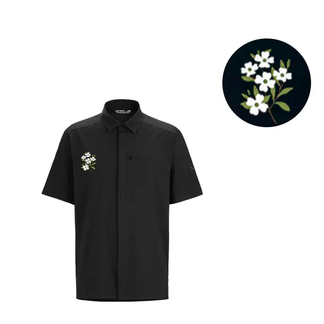 Arcteryx SKYLINE logo