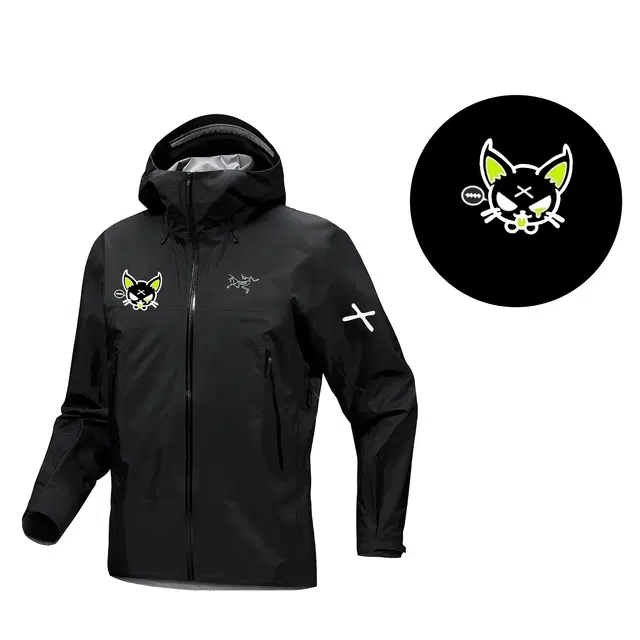 Arcteryx BETA logo
