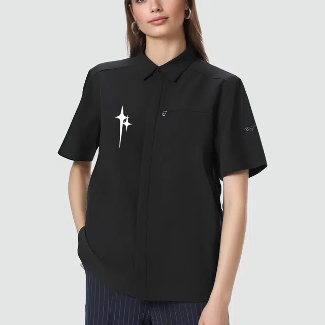 Arcteryx SKYLINE logo