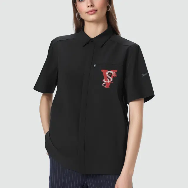 Arcteryx SKYLINE logo