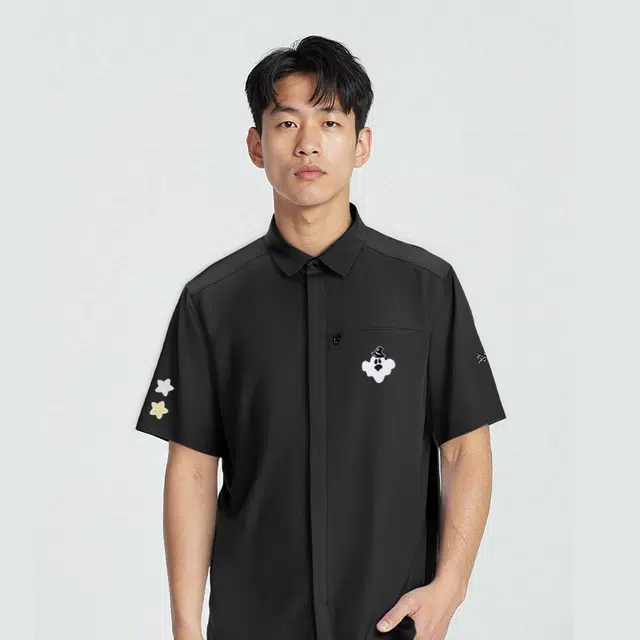 Arcteryx SKYLINE logo