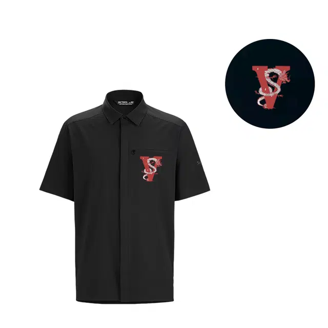 Arcteryx SKYLINE logo