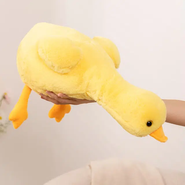 50cm70cm