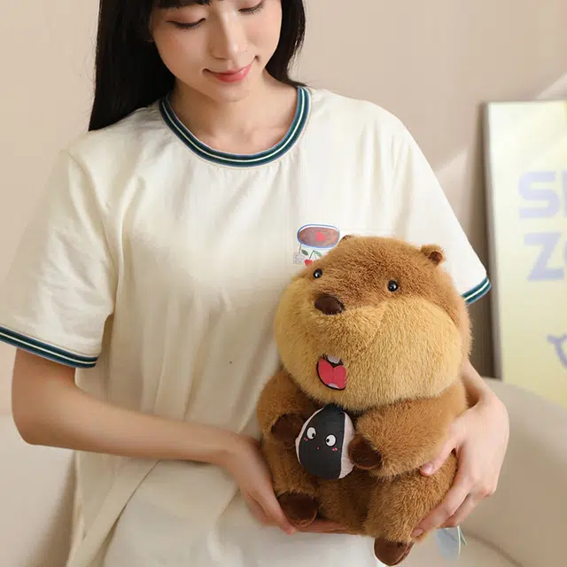 22cm32cm