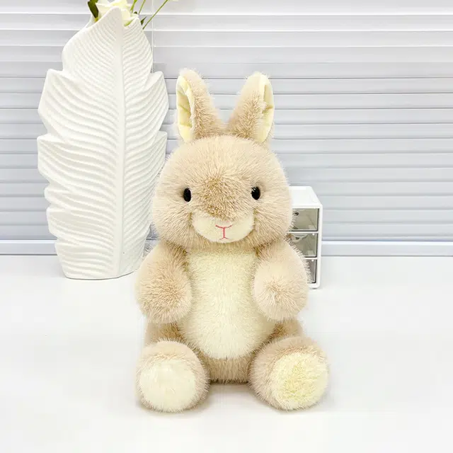 25cm35cm