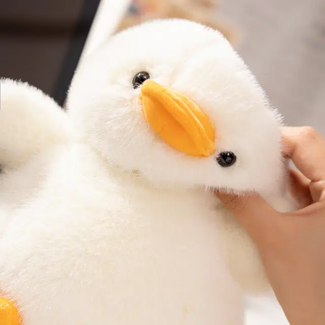 25cm32cm