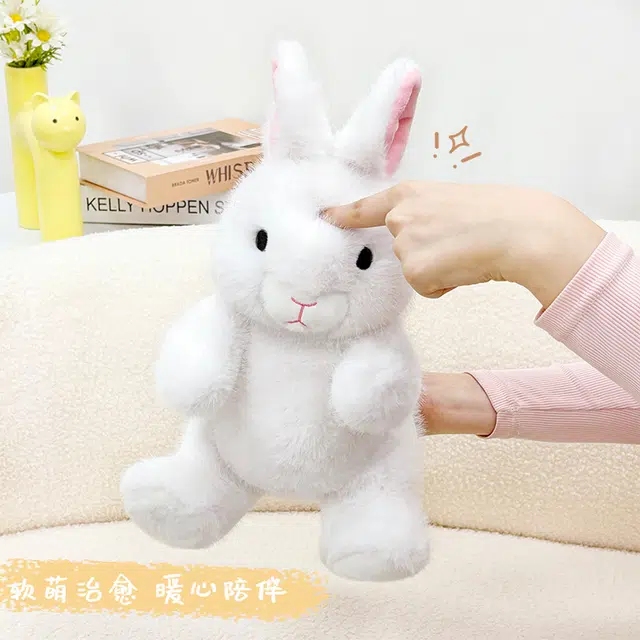 25cm35cm